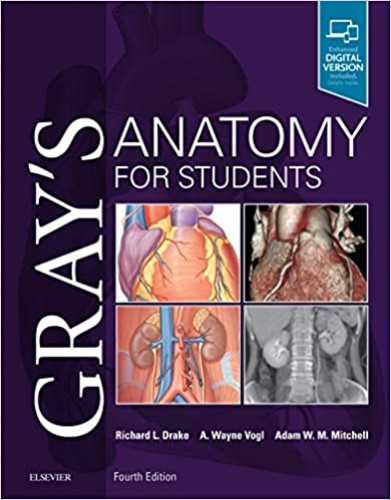 آناتومی-گری-2020