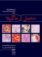 مندیبل و ماگزیلا (ترجمه فصل ۵ – آکرمن ۲۰۱۸)