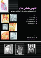 آناتومی مقطعی اندام