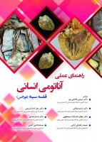 راهنمای عملی آناتومی انسانی قفسه سینه (توراکس)