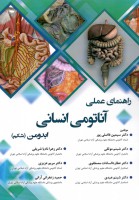 راهنمای عملی آناتومی انسانی ابدومن شکم