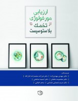 ارزیابی مورفولوژی از تخمک تا بلاستوسیست